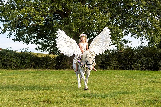Equine Enchanted Photo Shoot