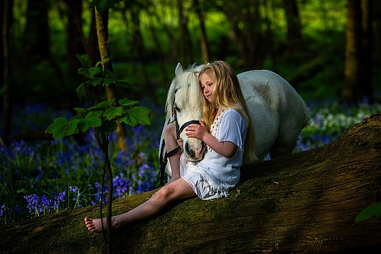 Equine Photo Shoots
