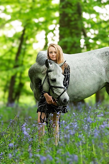 Standard Equine Photo Shoots