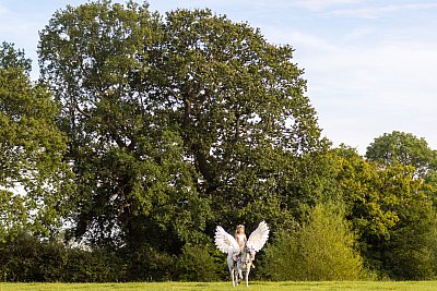 R7J53375-Enhanced-NR.jpg