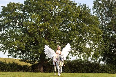 R7J53403-Enhanced-NR.jpg